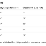 Rise & Ascend Lightweight Unisex T-shirt